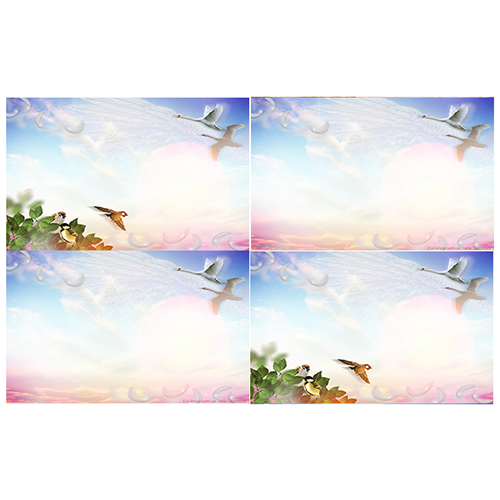 Шаблон презентації Птахи 