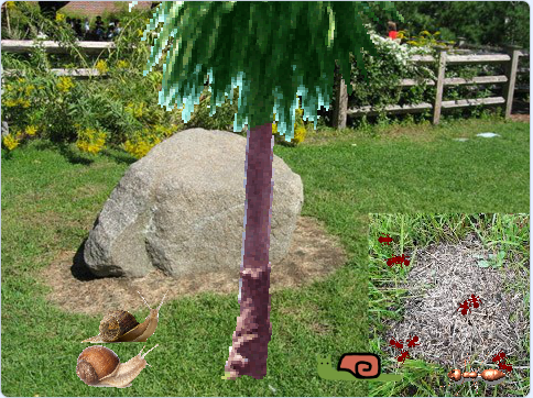 «Равлик». Переможець ІІІ фестивалю Scrаtch-проектів у номінації «Навчаємося разом з Рудим Котом»