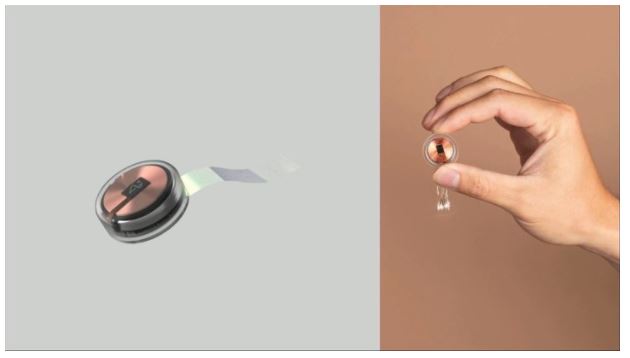 Маск обіцяє вже у березні показати мавпу з чіпом Nueralink, яка гратиме на комп'ютері без рук